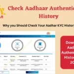 Check Aadhaar Authentication History and Download PDF